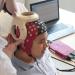 eego mylab leans itself perfectly to the integration with many kinds of external technologies. Due to the high temporal resolution the quality of EEG is maintained even in adverse environments.